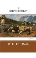 A Shepherd's Life: Large Print
