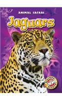 Jaguars