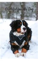 Grateful for My Dog