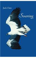 Soaring