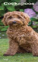 Cockapoos 2020 Slim Calendar