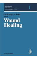 Fibrin Sealing in Surgical and Nonsurgical Fields