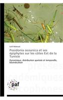 Posidonia Oceanica Et Ses Épiphytes Sur Les Côtes Est de la Tunisie