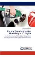 Natural Gas Combustion Modelling in IC Engine