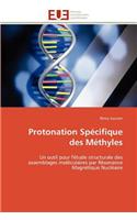 Protonation Sp�cifique Des M�thyles