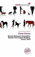Cane Corso