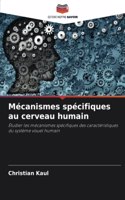 Mécanismes spécifiques au cerveau humain