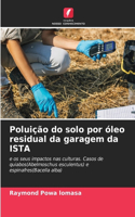 Poluição do solo por óleo residual da garagem da ISTA
