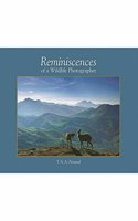 REMINISCENCES OF A WILDLIFE PHOTOGRAPHER