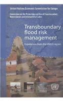 Transboundary Flood Risk Management