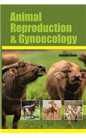 Animal Reproduction and Gynecology