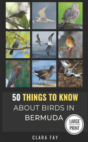 50 Things to Know About Birds in Bermuda Large Print