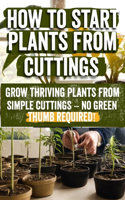 How to Start Plants from Cuttings