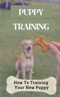 Puppy Training