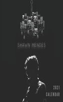 shawn mendes calendar