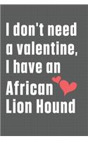 I don't need a valentine, I have an African Lion Hound