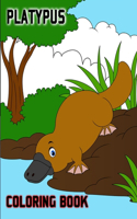 Platypus Coloring Book: Gift For Adult Relaxation