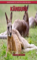 Känguru