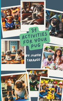 31 Activities for Your Pug