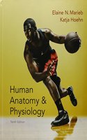 Human Anatomy & Physiology, Masteringa&p with Pearson Etext -- Valuepack Access Card and Human Anatomy & Physiology Laboratory Manual, Fetal Pig Versi