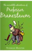 The Incredible Adventures of Professor Branestawm: HB Classic