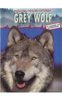 Grey Wolf