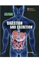 Digestion and Excretion