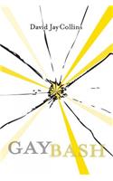 Gaybash