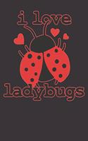 Ladybug Notebook: I Love Ladybugs Bugs Biology Insects 6x9 Dot Grid 120 Pages Notebook Sketchbook Journal