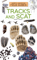 Tracks and Scat