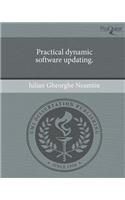 Practical Dynamic Software Updating.