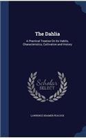 The Dahlia