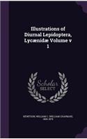 Illustrations of Diurnal Lepidoptera, Lycænidæ Volume v 1