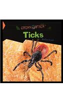 Ticks