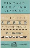 British Sheep And Shepherding