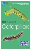 RSPB ID Spotlight - Caterpillars