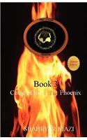 Curse of the Fire Phoenix (Summer Edition)