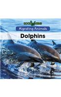 Dolphins