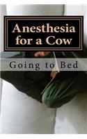Anesthesia for a Cow: Going to Bed
