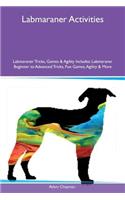 Labmaraner Activities Labmaraner Tricks, Games & Agility Includes
