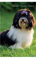 Havanese November Notebook Havanese Record, Log, Diary, Special Memories, To Do List, Academic Notepad, Scrapbook & More