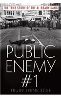 Public Enemy Number One: The True Story of the Brady Gang(English)
