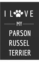 I love my Parson Russel Terrier