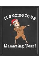 It's Going To Be Llamazing Year