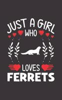 Just A Girl Who Loves Ferrets
