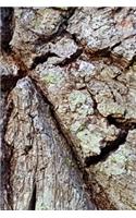 2020 Weekly Planner Mighty Oak Tree Bark Photo 134 Pages: 2020 Planners Calendars Organizers Datebooks Appointment Books Agendas