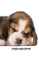 Beagle Puppy Journal