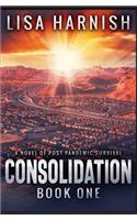 Consolidation