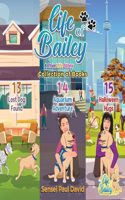 Life of Bailey: Collection Series of Books 13, 14, 15(Life of Bailey)