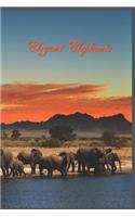Elegant Elephants: 124 Page Softcover, Has Both Lined And/Or Blank Pages with an Elephant Border, College Rule Composition (6